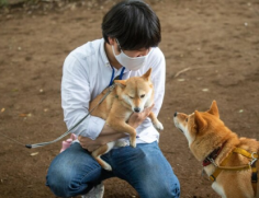 강쥐 이미지
